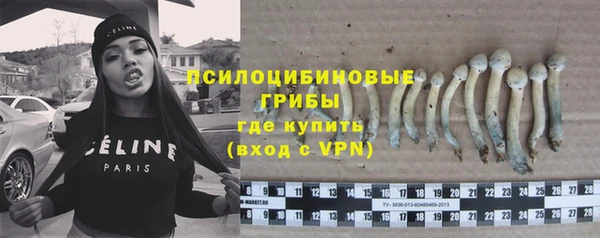 прущая мука Богородск