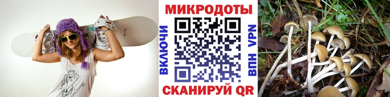 Псилоцибиновые грибы ЛСД  Чёрмоз 